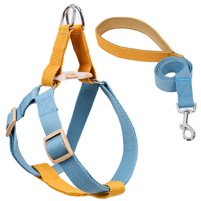 Discover the Perfect Leash for Your Furry Friend!
